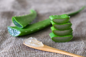 Read more about the article ALOE VERA, A MIRACLE PLANT