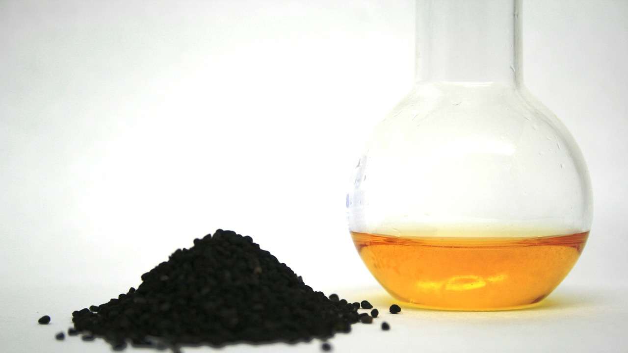 You are currently viewing Black Seed Oil for Flu and Common Cold